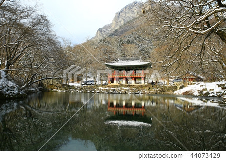 Snow snow, snow, winter, winter world, Baekyangsa 44073429