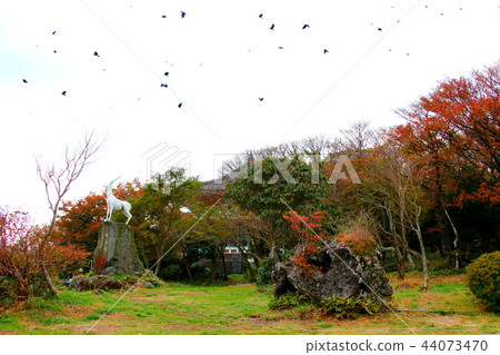 1100高地濕地,秋葉, 1100高地濕地,秋葉, 44073470
