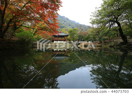 Autumn, Maple, Nature, Autumn Landscape, Sansa, Baekyangsa 44073703