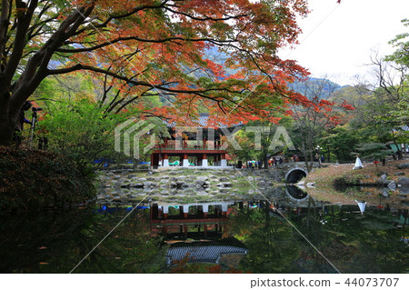 Autumn, Maple, Nature, Autumn Landscape, Sansa, Baekyangsa 44073707