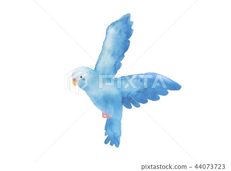 Blue bird watercolor illustration 44073723