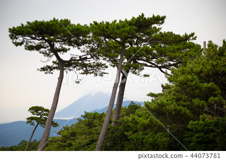 Senbon Matsubara Senbon Matsubara 44073781