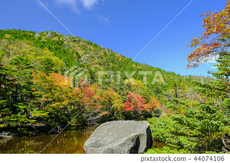 七個池塘的秋葉（Ichi沒有池塘） 44074106