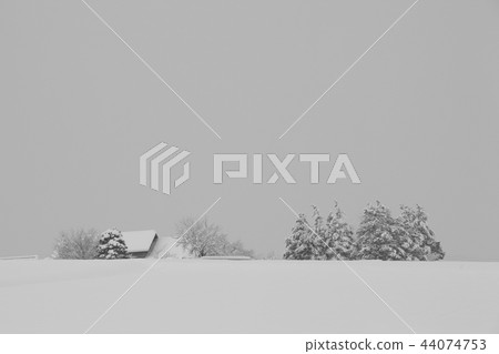昭和村雪景 44074753