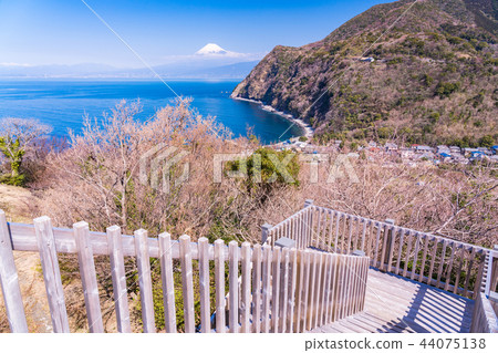 （靜岡縣）Nishi Izu Ida富士山從海上過山。 44075138