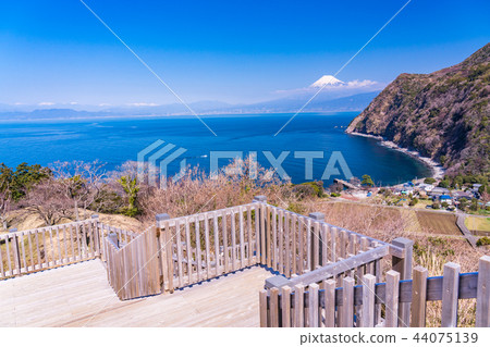 （靜岡縣）Nishi Izu Ida富士山從海上過山。 44075139