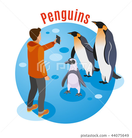 Photo With Penguins Background 44075649