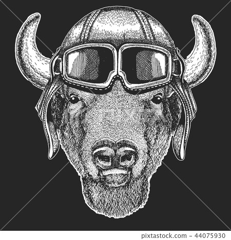 Buffalo, bison,ox, bull wearing aviator hat. Print for children clothes, tee, t-shirt. Pilot wild 44075930