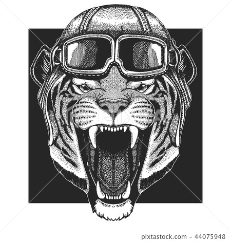 Tiger, wild cat wearing aviator hat. Print for children clothes, tee, t-shirt. Pilot wild animal 44075948
