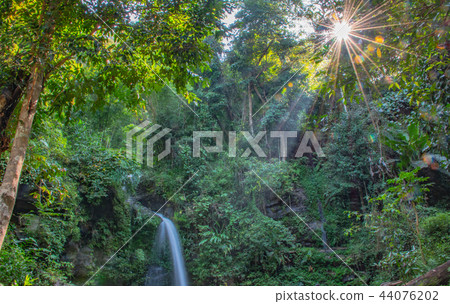 Waterfall spread from the peak in tropical forests 44076202