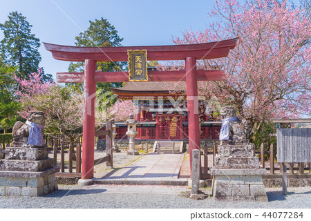 Yoshinoyama Kinutasan-ji Temple Weitoku Tenmangu 44077284