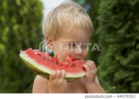 Cute baby boy Enjoy Eating The Watermelon on the green background 44078501