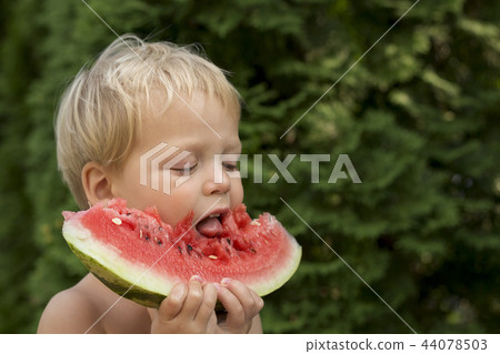 Cute baby boy Enjoy Eating The Watermelon on the green background Cute baby boy Enjoy Eating The Watermelon on the green background 44078503