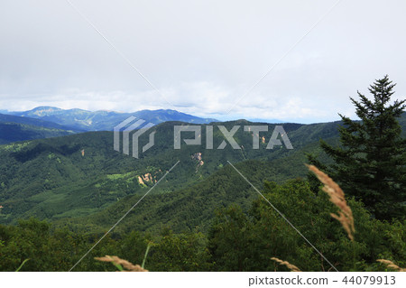 Kusatsu Shirane Mountain from the top of Nekodake Ueda City, Nagano Prefecture 44079913