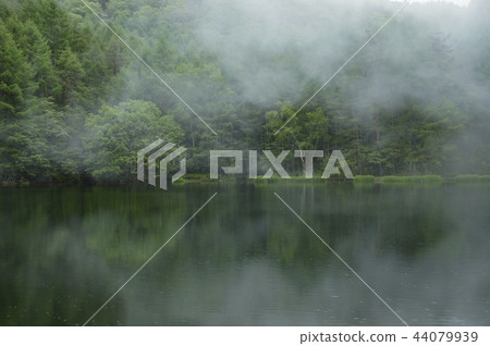 Shrine pond 44079939