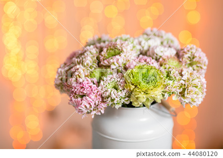 Pink persian buttercup flowers. Curly peony ranunculus in Metallic gray vintage can. Vase with Pink persian buttercup flowers. Curly peony ranunculus in Metallic gray vintage can. Vase with 44080120