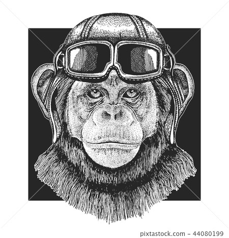Chimpanzee Monkey wearing aviator hat. Print for children clothes, tee, t-shirt. Pilot wild animal 44080199