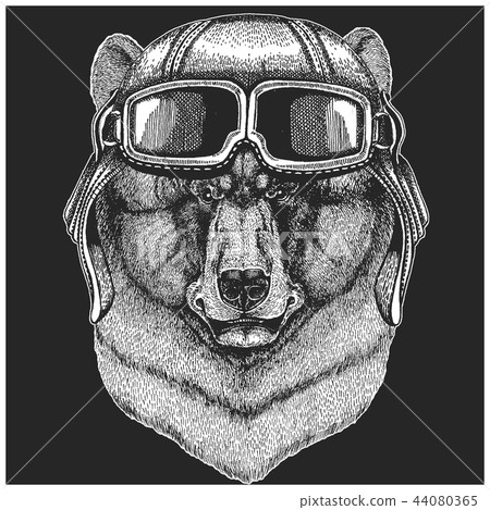 Black bear wearing aviator hat. Print for children clothes, tee, t-shirt. Pilot wild animal 44080365