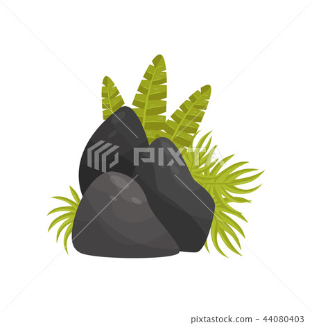 Black stones and tropical plants, element of tropical jungle landscape vector Illustration on a Black stones and tropical plants, element of tropical jungle landscape vector Illustration on a 44080403