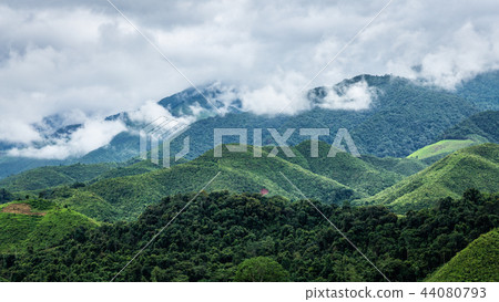 Mountains inside rainforest park covered by cloud 44080793