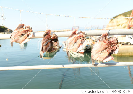 West Sea fish West Sea fish 44081069