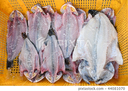 West Sea fish 44081070