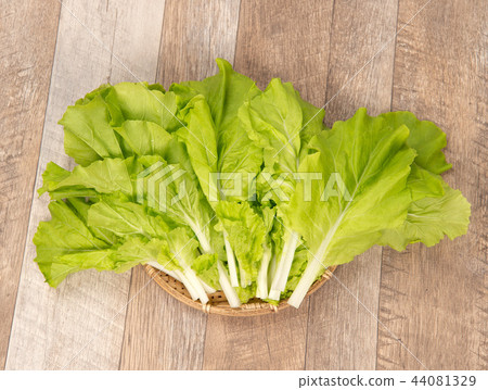 Assorted green vegetables A cabbage farm Small Chinese cabbage Chinese cabbage vegetables White cabbage Yamatona Santona Assorted green vegetables A cabbage farm Small Chinese cabbage Chinese cabbage vegetables White cabbage Yamatona Santona 44081329