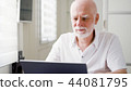Handsome elderly senior man working on laptop computer at home. Remote freelance work on retirement 44081795