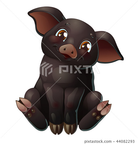 The Cute black pig sits on white 44082293