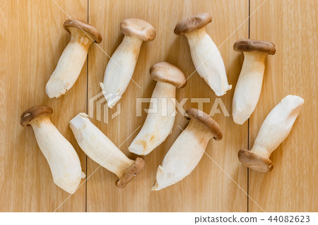 Pleurotus eryngii mushroom Pleurotus eryngii mushroom 44082623