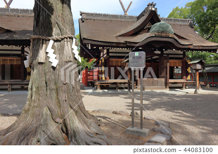 Sumiyoshi Taisha (Osaka City) 44083100