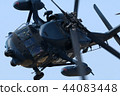 Demo Flight 44083448