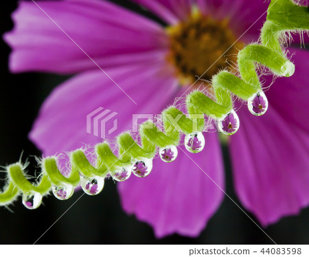 Water droplets close- Water droplets close- 44083598