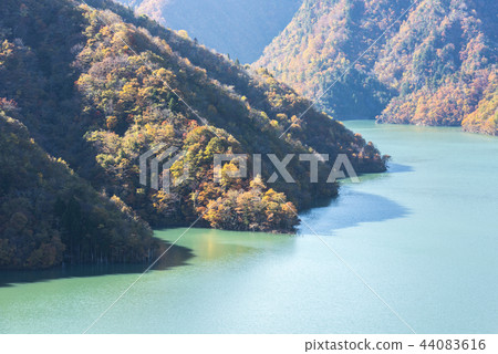 Autumn leaves of Tokuyama lake 44083616