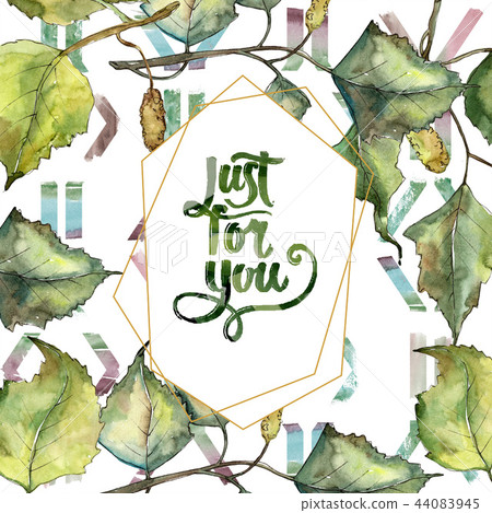 Green autumn leaf birch. Leaf plant botanical garden floral foliage. Isolated illustration element. Green autumn leaf birch. Leaf plant botanical garden floral foliage. Isolated illustration element. 44083945