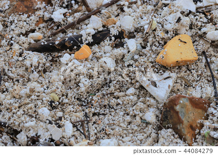 the Plastic thrown directly into the sea 44084279