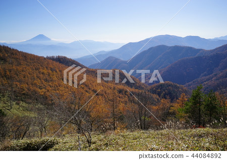 Mt. Fuji and Mt. Kushigata from Mount Senjo Mt. Fuji and Mt. Kushigata from Mount Senjo 44084892
