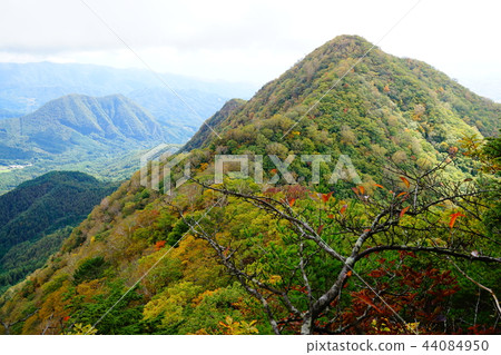 Autumn leaves begin Autumn leaves begin 44084950