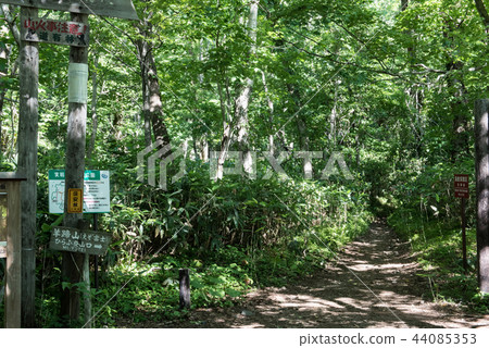 Walk course around Lake Huntsuki 44085353