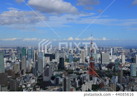 View from Roppongi Hills (Tokyo Tower) 44085616