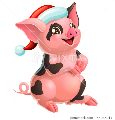 Lovely black and pink pig in cap on white Lovely black and pink pig in cap on white 44086015