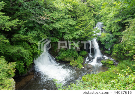 在栃木日光市Ryuto No Taki（8月）下雨後 44087616