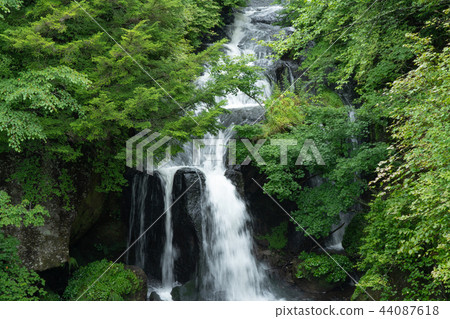 After the rain in Tochigi Nikko City Ryuto No Taki (August) 44087618