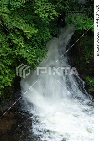 在栃木日光市Ryuto No Taki（8月）下雨後 44087620