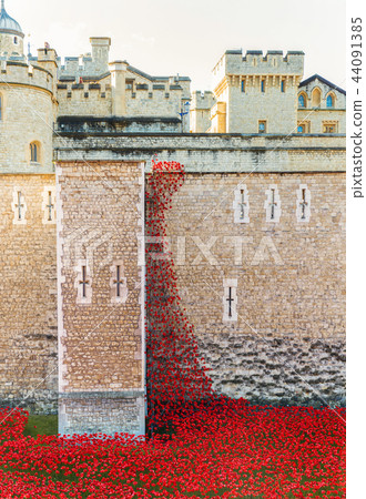 Remembrance Day at the Tower of London 44091385
