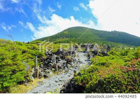 Tsuboiwa promenade and Mt. Tsuboiwa promenade and Mt. 44092485
