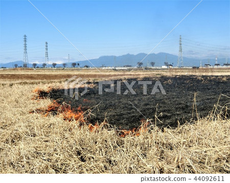 After the harvest of the rice field burnt 44092611
