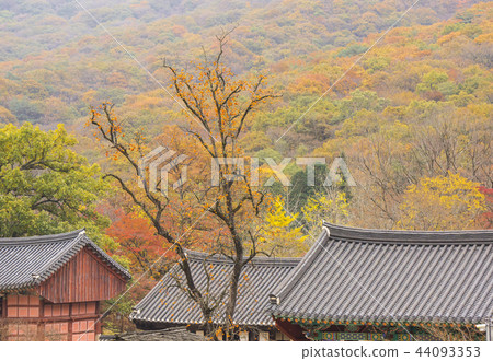 黃石國家公園, 黃石國家公園, 44093353