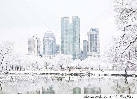 Winter in Boramae Park Winter in Boramae Park 44093623