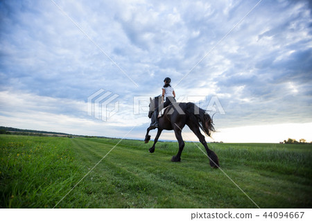 Beautiful woman riding a black friesian horse. 44094667